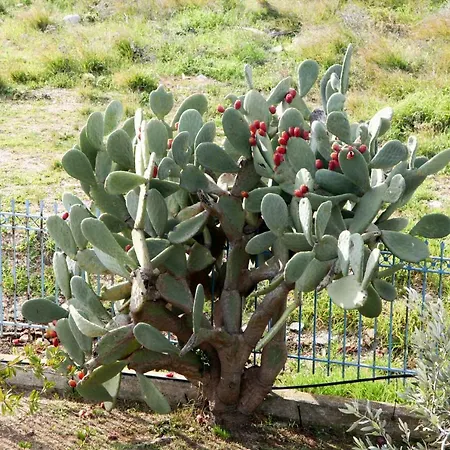 וילה The Of The Winds נאה קיוס