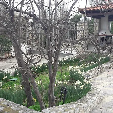 The Of The Winds * ネア・キオス