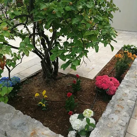 The Of The Winds נאה קיוס