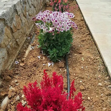 וילה The Of The Winds *