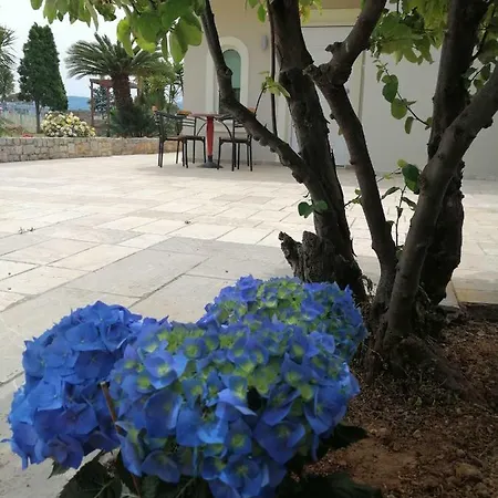 The Of The Winds Nea Kios