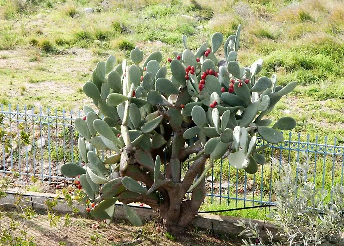 Villa The Of The Winds Nea Kios