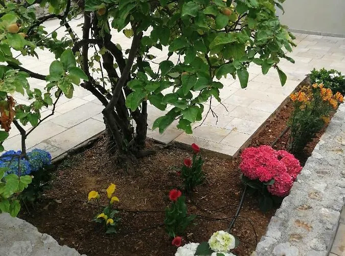 The Of The Winds ネア・キオス