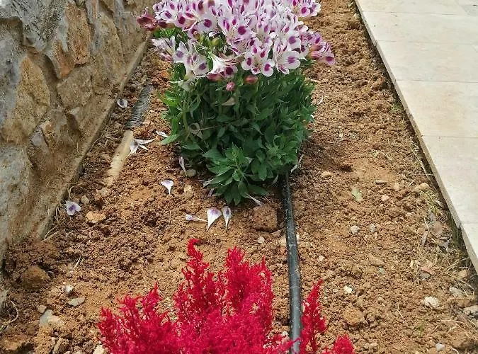 Villa The Of The Winds *