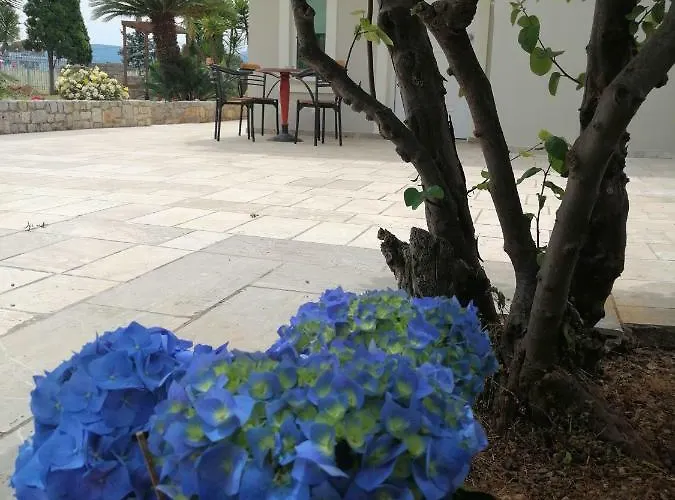 The Of The Winds Nea Kios