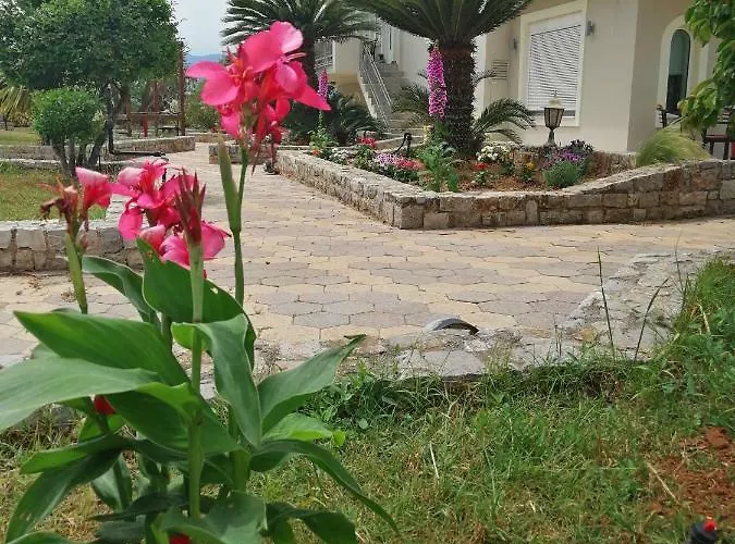 The Of The Winds * ネア・キオス